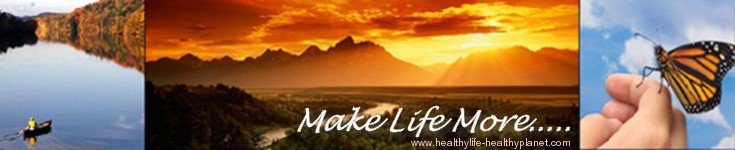 MLM (MakeLifeMore) at HealthyLife-HealthyPlanet